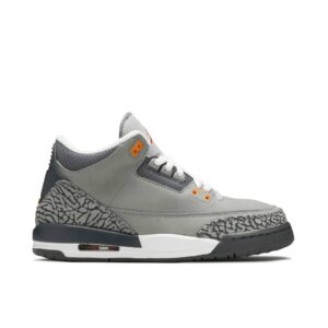 Jordan 3 Retro Cool Grey (2021) (GS) 398614-012 - Nicesk photo 1
