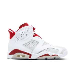 Jordan 6 Retro Alternate Hare 384664-113 - Nicesk photo 1