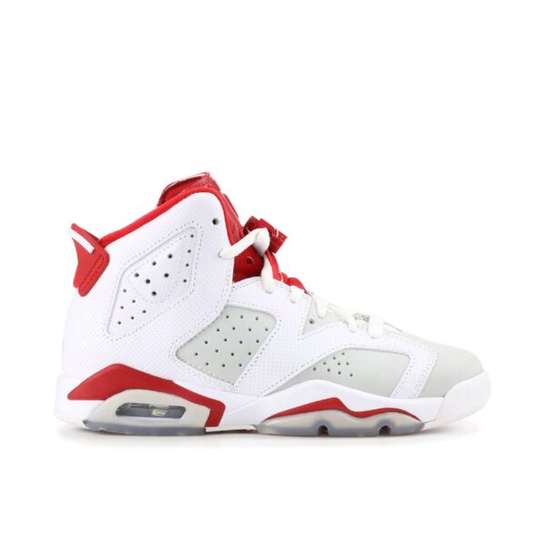 Jordan 6 Retro Alternate Hare (GS) 384665-113 - Nicesk photo 1