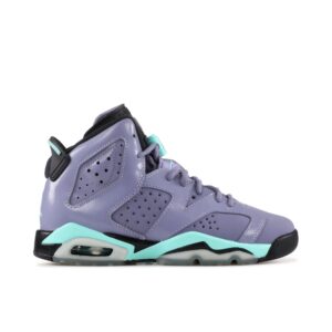 Jordan 6 Retro Iron Purple (GS) 543390-508 - Nicesk photo 1
