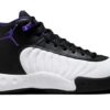 Jordan Jumpman Pro Black Field Purple DN3686-105 - Nicesk photo 1