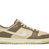 Nike Air Dunk Velcro Tongue Milk Tea FB4960-210 - Nicesk photo 1
