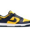 Nike Dunk Low Michigan (2021) DD1391-700 - Nicesk photo 1