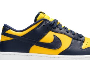 Nike Dunk Low Michigan (2021) DD1391-700 - Nicesk photo 2