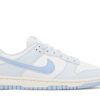 Nike Dunk Low Next Nature Blue Tint (Women's) DD1873-400 - Nicesk photo 1