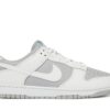 Nike Dunk Low Retro White Grey DJ6188-003 - Nicesk photo 1