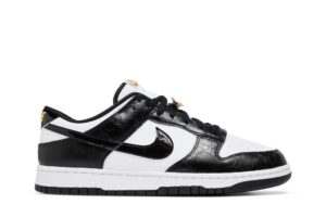 Nike Dunk Low SE World Champs Black White DR9511-100 - Nicesk photo 1