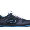 Nike SB Dunk Low Concepts Blue Lobster 313170-342 - Nicesk photo 1