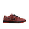 Nike SB Dunk Low Concepts Red Lobster (Special Box) 313170-661 - Nicesk photo 1