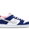 Nike SB Dunk Low Ishod Wair BMW 839685-416 - Nicesk photo 1