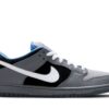Nike SB Dunk Low Petoskey Premier 313170-014 - Nicesk photo 1
