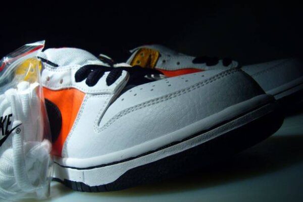 Nike SB Dunk Low Raygun Home 304292-802 - Nicesk photo 5