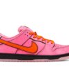 Nike SB Dunk Low The Powerpuff Girls Blossom FD2631-600 - Nicesk photo 1