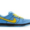 Nike SB Dunk Low The Powerpuff Girls Bubbles FZ8320-400 - Nicesk photo 1