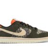Nike Dunk Low SE Gone Fishing Rainbow Trout FN7523-300 - Nicesk photo 1