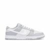 Nike Dunk Low Two Tone Grey DJ6188-001 - Nicesk photo 1