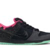 Nike SB Dunk Low Premier Northern Lights 724183-063 - Nicesk photo 1